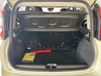 Usata Fiat Panda Cross Cross 2025 Bianco Utilitaria