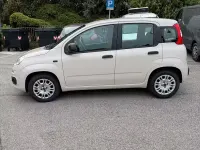 Usata Fiat Panda 69 CV (50 kW) 2017 Utilitaria
