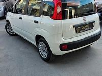 Usata Fiat Panda Easy 69 CV (50 kW) 2020 Bianco Utilitaria