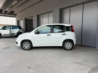 Usata Fiat Panda Easy 69 CV (50 kW) 2018 Bianco Utilitaria