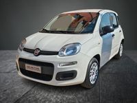 usata Fiat Panda 1.0 FIREFLY 70cv S&S HYBRID EASY