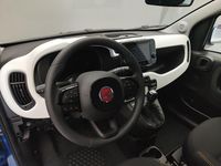 Usata Fiat Panda Cross Cross 70 CV (51 kW) 2025 Blu Utilitaria