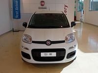 Nuova Fiat Panda Icon 69 CV (50 kW) 2025 Bianco pastello Utilitaria
