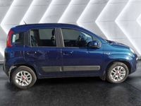 usata Fiat Panda 1.2 Lounge usato