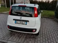 Usata Fiat Panda 69 CV (50 kW) 2014 Utilitaria