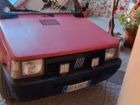 Usata Fiat Panda Young 39 CV (28 kW) 1999 Rosso Utilitaria