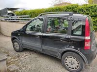 usata Fiat Panda 4x4 climbing