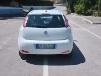 Usata Fiat Punto Lounge 77 CV (56 kW) 2014 Bianco Utilitaria