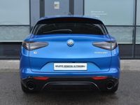 Usata Alfa Romeo Stelvio Veloce 209 CV (153 kW) 2024 Blu SUV