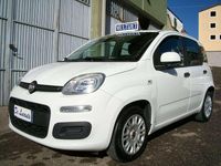 Usata Fiat Panda Easy 95 CV (69 kW) 2018 Bianco Utilitaria
