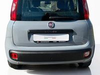 Usata Fiat Panda Lounge 69 CV (50 kW) 2020 Grigio Utilitaria