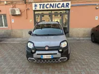 Usata Fiat Panda Cross Cross 69 CV (50 kW) 2020 Grigio Utilitaria