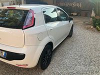 Usata Fiat Punto 75 CV (55 kW) 2011 Bianco Berlina
