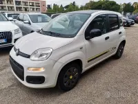 Usata Fiat Panda Young 69 CV (50 kW) 2014 Bianco Utilitaria