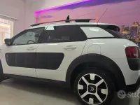 Usata Citroën C4 Cactus Shine 99 CV (72 kW) 2017 Bianco Utilitaria