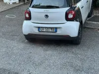 Usata Smart ForFour 71 CV (52 kW) 2019 Utilitaria