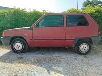 Usata Fiat Panda Young 54 CV (39 kW) 2001 Rosso Utilitaria