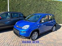 usata Fiat Panda 1.0 1.0 FireFly S&S Hybrid KM 0