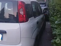 Usata Fiat Panda 69 CV (50 kW) 2020 Bianco Utilitaria