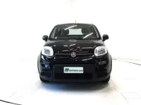 Usata Fiat Panda 69 CV (50 kW) 2023 Nero Utilitaria