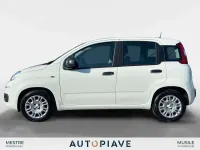 Usata Fiat Panda S 69 CV (50 kW) 2025 Bianco Utilitaria