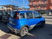 usata Fiat Panda Cross 1.0 FireFly S&S Hybrid City usato