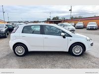 Usata Fiat Punto Evo Dynamic 75 CV (55 kW) 2011 Bianco Utilitaria
