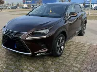 Usata Lexus NX300h E-FOUR Luxury Line 197 CV (144 kW) 2020 Marrone SUV