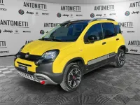 Usata Fiat Panda Cross Cross 85 CV (62 kW) 2021 Giallo Utilitaria
