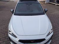 Usata Cupra Leon 245 CV (180 kW) 2023 Bianco Berlina
