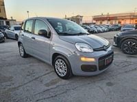 Usata Fiat Panda Easy 69 CV (50 kW) 2022 Grigio Utilitaria