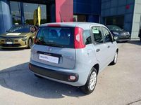 Usata Fiat Panda Easy 69 CV (50 kW) 2020 Grigio Utilitaria