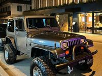 Usata Jeep Wrangler Limited 184 CV (135 kW) 1994 Grigio SUV