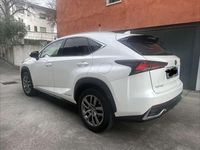 Usata Lexus NX300h 185 CV (136 kW) 2018 SUV