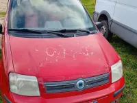 Usata Fiat Panda 60 CV (44 kW) 2008 Rosso Utilitaria