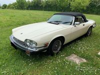 usata Jaguar XJS V12