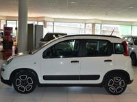 usata Fiat Panda PANDA - My22 1.0 70cv Hybrid