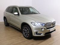 usata BMW X5 X5xDrive30d Luxury