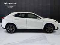Usata Lexus UX 250h Sport Line 184 CV (135 kW) 2021 Bianco SUV