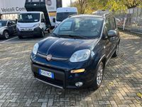 Usata Fiat Panda 4x4 S 95 CV (69 kW) 2016 Blu Utilitaria
