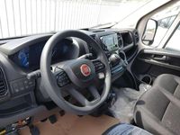 Usata Fiat Ducato 140 CV (102 kW) 2024 Other Furgone