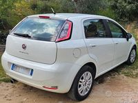 Usata Fiat Punto 75 CV (55 kW) 2013 Bianco Utilitaria
