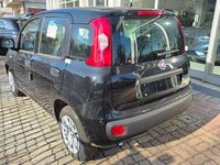 Nuova Fiat Panda S 70 CV (51 kW) 2025 Venom black Utilitaria