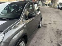 Usata Fiat Panda City Life 69 CV (50 kW) 2023 Utilitaria