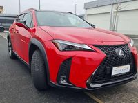 Usata Lexus UX 250h 184 CV (135 kW) 2023 Rosso SUV