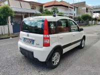 Usata Fiat Panda Climbing 60 CV (44 kW) 2009 Utilitaria