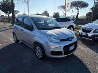 Usata Fiat Panda Easy 69 CV (50 kW) 2018 Argento Utilitaria