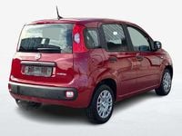 Usata Fiat Panda S 69 CV (50 kW) 2025 Rosso Berlina