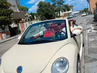 Usata VW New Beetle Edition 102 CV (75 kW) 2009 Bianco Utilitaria