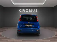 Usata Fiat Panda Cross Cross 69 CV (50 kW) 2023 Other Utilitaria